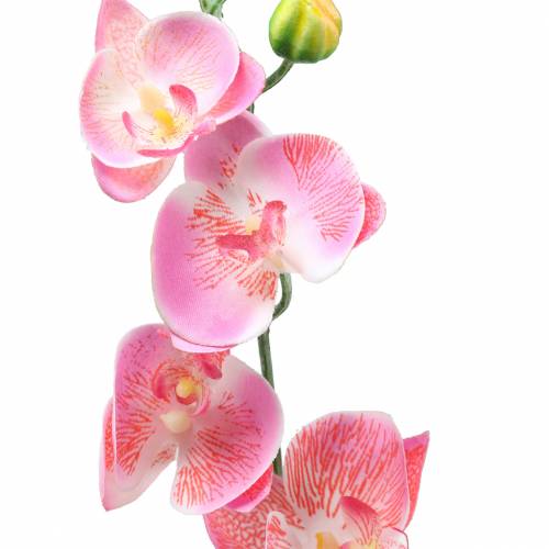 Floristik24 Orchidea Phalaenopsis rosa artificiale 60cm