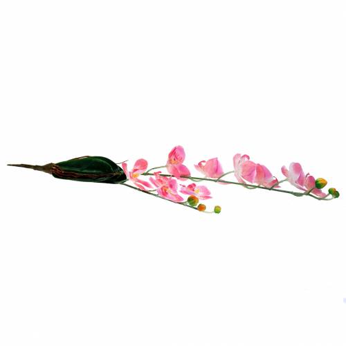 Floristik24 Orchidea Phalaenopsis rosa artificiale 60cm