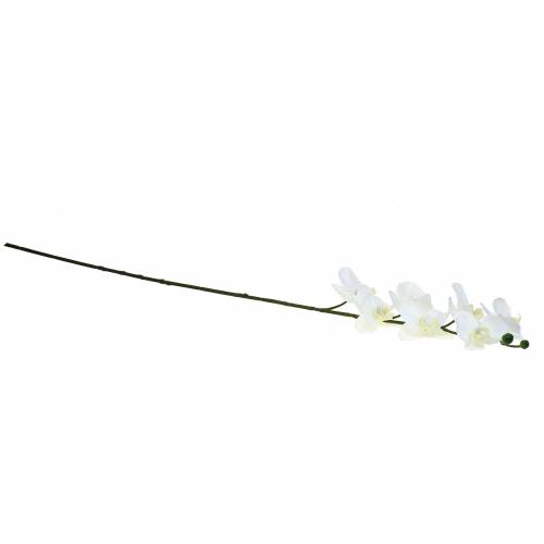 Prodotto Orchidea artificiale fiore artificiale bianco Ø6,5-8 cm 77 cm