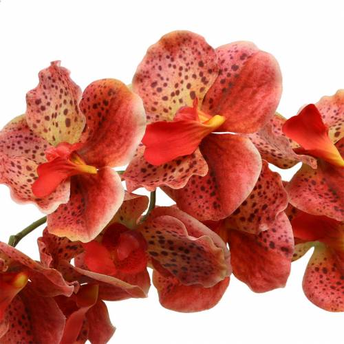 Prodotto Orchidea artificiale Phaelaenopsis Rosso, Arancione H81cm