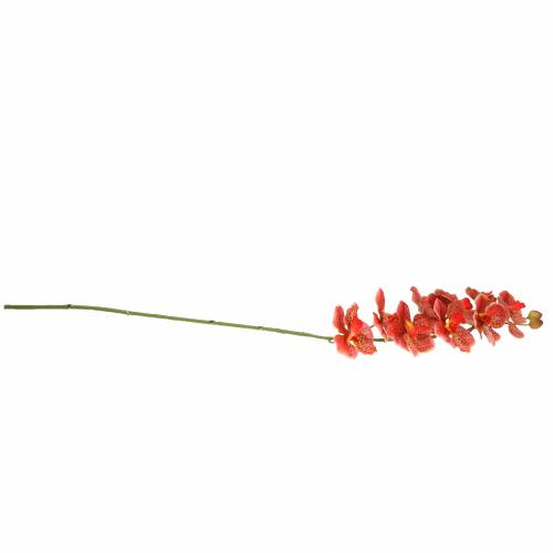 Floristik24 Orchidea artificiale Phaelaenopsis Rosso, Arancione H81cm