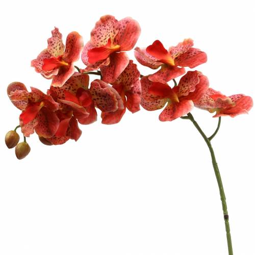 Floristik24 Orchidea artificiale Phaelaenopsis Rosso, Arancione H81cm