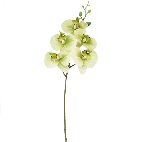 Orchidea Phalaenopsis artificiale giallo verde 85 cm