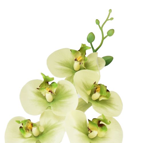 Prodotto Orchidea Phalaenopsis artificiale giallo verde 85 cm