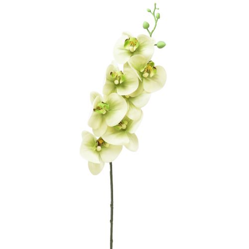 Orchidea Phalaenopsis artificiale giallo verde L83cm