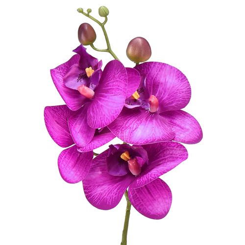 Floristik24 Orchidea Phalaenopsis artificiale 4 fiori Fucsia 72 cm