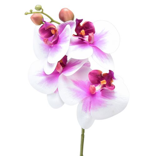 Orchidea Phalaenopsis Artificiale 4 Fiori Bianco Rosa 72cm
