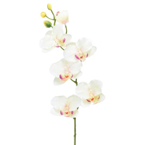 Orchidea Phalaenopsis artificiale 6 fiori rosa crema 70 cm