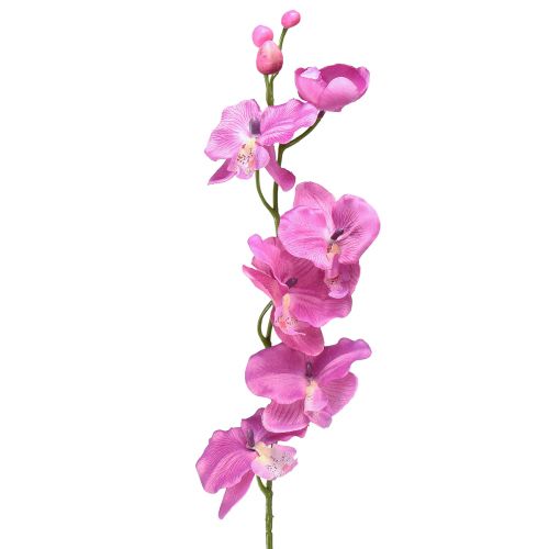 Orchidea Phalaenopsis artificiale 6 fiori viola 70 cm