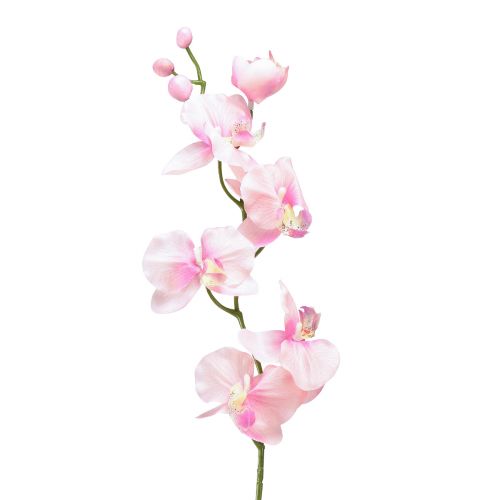 Floristik24 Orchidea Phalaenopsis artificiale 6 fiori rosa 70 cm