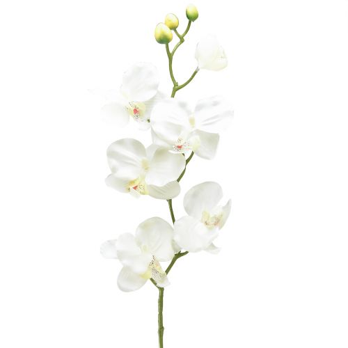 Orchidea Phalaenopsis artificiale 6 fiori bianco crema 70 cm