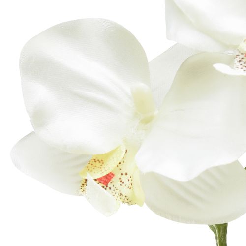 Prodotto Orchidea Phalaenopsis artificiale 6 fiori bianco crema 70 cm