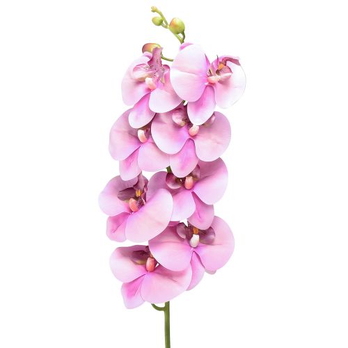 Orchidea Phalaenopsis artificiale 8 fiori rosa 104 cm