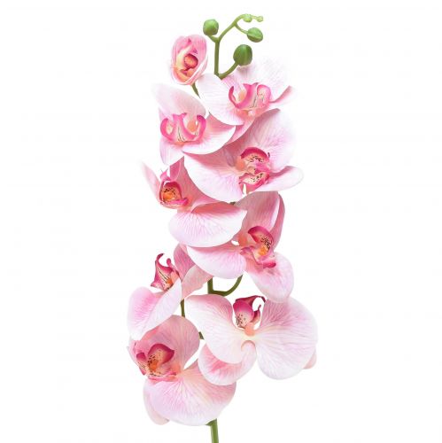 Floristik24 Orchidea Phalaenopsis artificiale 9 fiori rosa bianco 96 cm