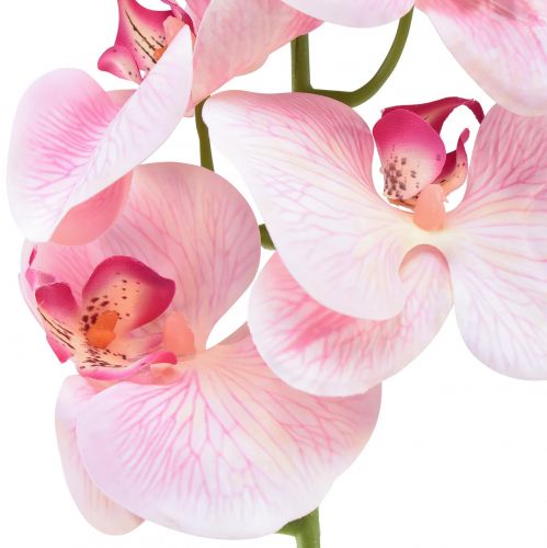 Prodotto Orchidea Phalaenopsis artificiale 9 fiori rosa bianco 96 cm