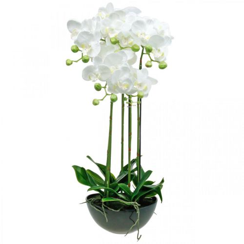 Orchidee artificiali in vaso pianta artificiale bianca  63cm-67300