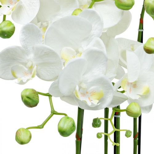Prodotto Orchidee artificiali in vaso pianta artificiale bianca 63cm