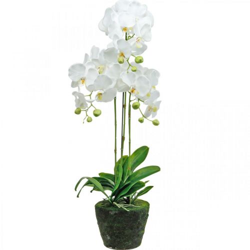 Orchidee artificiali per vaso bianco 80cm-79124