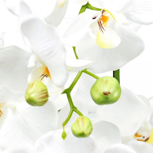 Prodotto Orchidee artificiali da vaso bianche 80 cm