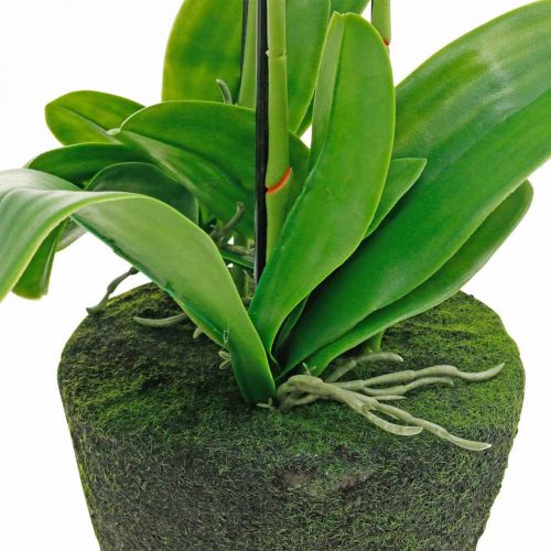 Prodotto Orchidee artificiali da vaso bianche 80 cm