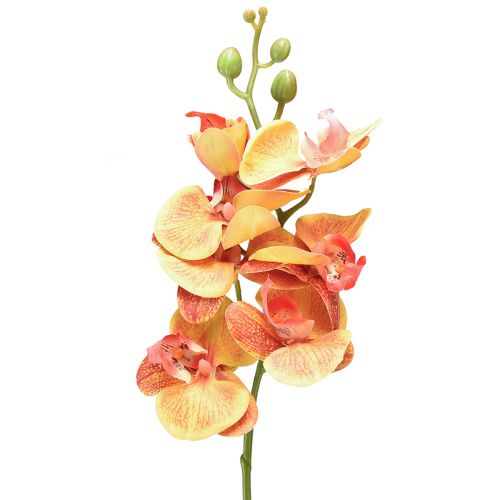 Floristik24 Orchidea artificiale Phalaenopsis fiammata rosso giallo 78 cm