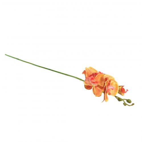 Prodotto Orchidea artificiale Phalaenopsis fiammata rosso giallo 78 cm