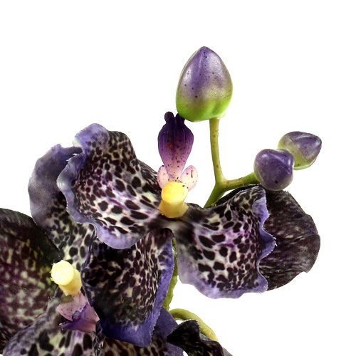 Prodotto Orchidea Vanda viola artificiale L 44cm