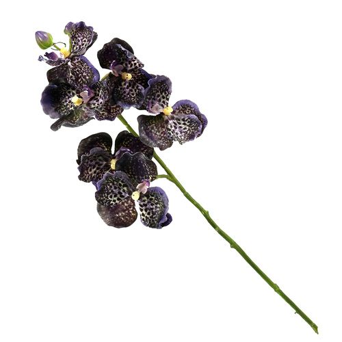 Floristik24 Orchidea Vanda viola artificiale L 44cm