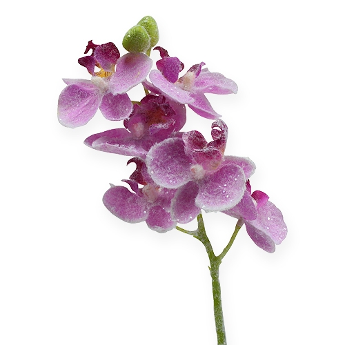 Orchidea con glitter, rosa 35cm