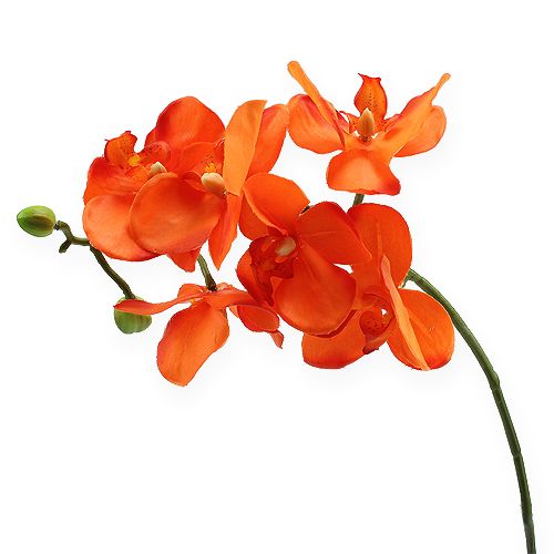 Floristik24 Ramo di orchidea arancione 61 cm