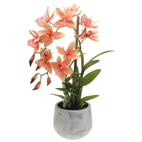 Floristik24 Orchidea in vaso di salmone H41cm