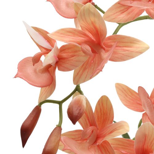 Floristik24 Orchidea in vaso di salmone H41cm