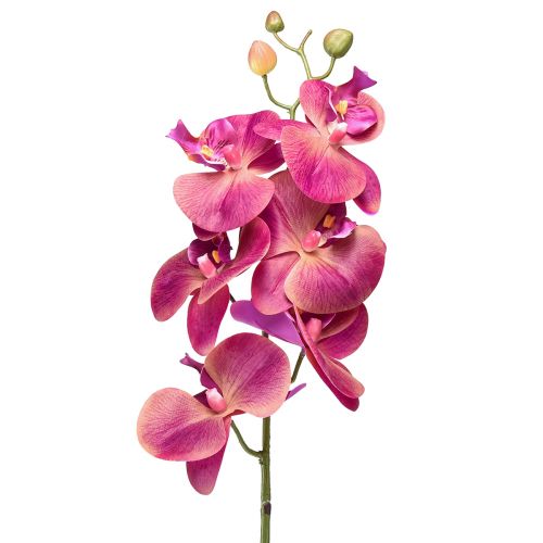 Prodotto Orchidea artificiale Phalaenopsis Orchidea Fucsia 78cm