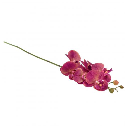 Prodotto Orchidea artificiale Phalaenopsis Orchidea Fucsia 78cm