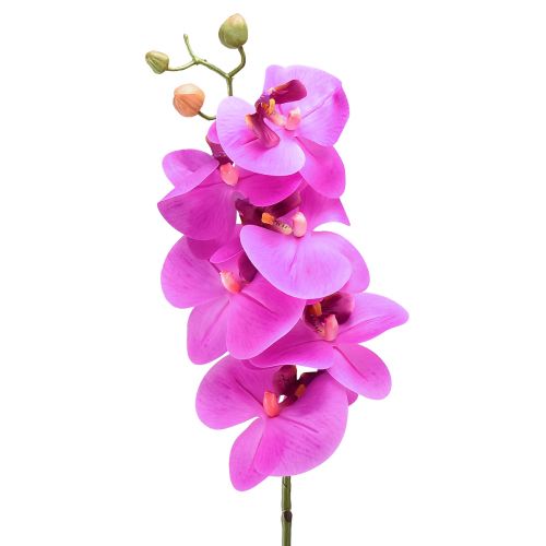 Floristik24 Orchidea artificiale Phalaenopsis Orchidea Rosa 78 cm