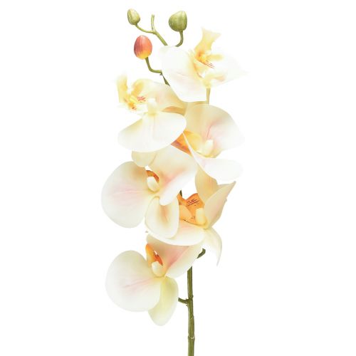 Orchidea artificiale Phalaenopsis crema arancione 78 cm