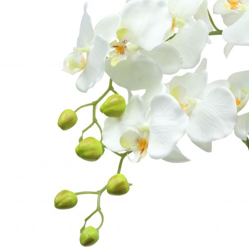 Floristik24 Orchidea bianca su una palla di 118 cm