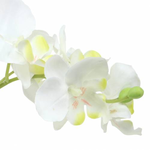 Floristik24 Orchidee bianche in vaso pianta artificiale H35cm