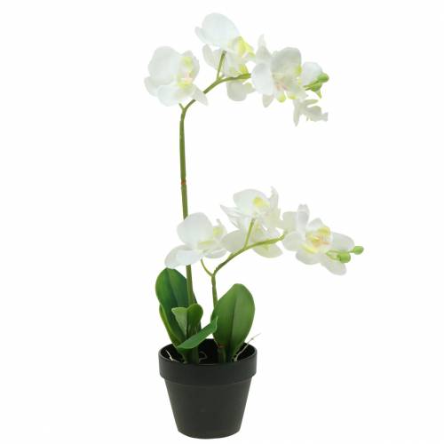 Orchidee bianche in vaso pianta artificiale H35cm-67299
