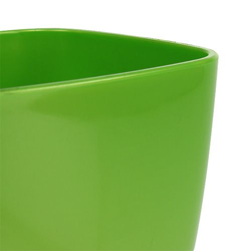 Prodotto Vaso per orchidee lucido Ø12,5 cm lime, 1pz