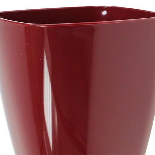 Prodotto Vaso per orchidee lucido Ø12,5 cm Bordeaux, 1 pezzo