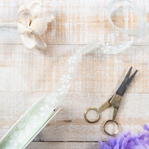 Prodotto Nastro in organza, floreale, per regali, verde, 25 mm, 18 m