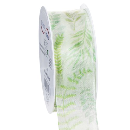 Floristik24 Nastro in organza, nastro in chiffon, verde con viticci di foglie, largo 40 mm, lungo 15 m
