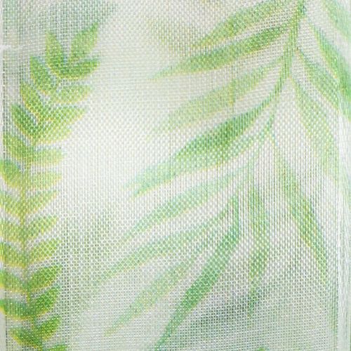 Prodotto Nastro in organza, nastro in chiffon, verde con viticci di foglie, largo 40 mm, lungo 15 m