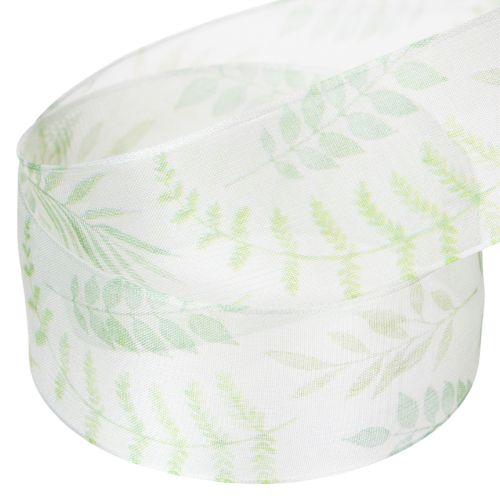Prodotto Nastro in organza, nastro in chiffon, verde con viticci di foglie, largo 40 mm, lungo 15 m