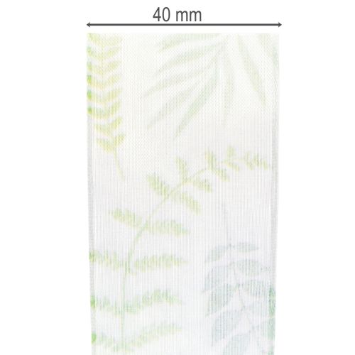 Prodotto Nastro in organza, nastro in chiffon, verde con viticci di foglie, largo 40 mm, lungo 15 m