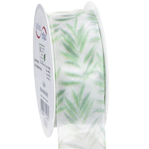 Floristik24 Nastro in organza, nastro in chiffon, nastro verde con motivo floreale, 40 mm x 15 m