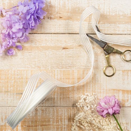 Prodotto Nastro in organza a righe, nastro regalo, bianco, 15 mm, 20 m