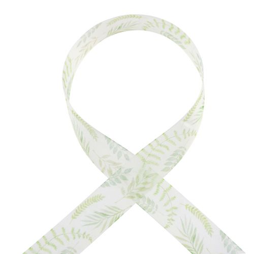Prodotto Nastro di organza nastro di chiffon viticci foglia verde 40mm 15m