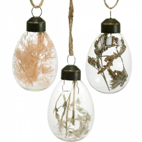 Floristik24 Uova di Pasqua con fiori secchi, uova decorative in vero vetro, decorazioni floreali pasquali da appendere, uova di vetro 8 pz